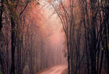 [英超]阿玛德“帽子戏法” 曼联逆转南安普敦.