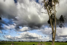 问鼎娱乐：[乒乓球]世乒联冠军赛重庆站女单1／8决赛：王艺迪VS徐孝元 集锦.