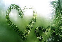 “历史第1运气”!特鲁姆普连续翻袋 解掉威尔逊和自己做的斯诺克.