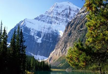 问鼎娱乐:尴尬,莱斯特城是第一支英超主场7连败且0进球的球队.