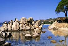 久巴成为俄罗斯足球史上进球最多的职业球员2025-03-11.